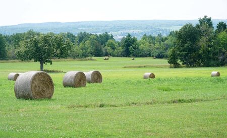 landscape of green farmland with haystackの写真素材