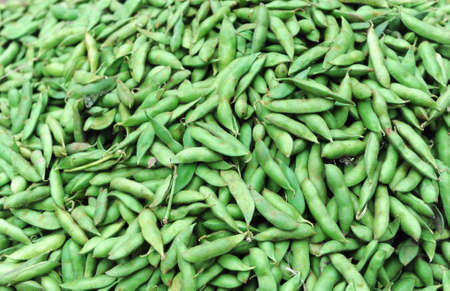 close up on green soybean pod as food backgroundの写真素材