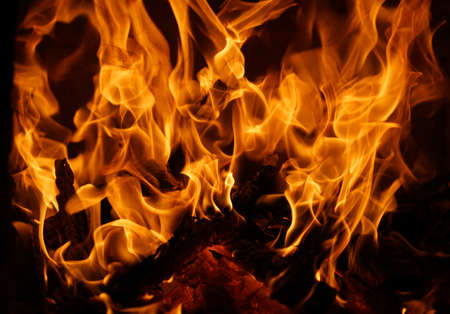 burning fire flame on the black background