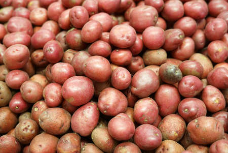Fresh red potatoes in the supermarket for saleの写真素材