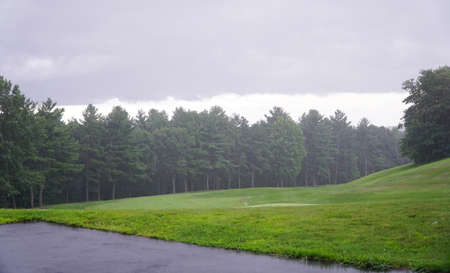 landscape of rainy rural scene with woods and meadowの写真素材
