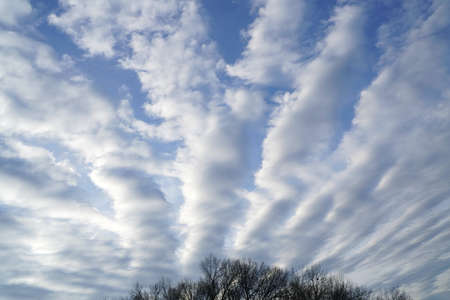 landscape of cloudscape overcast and woodsの写真素材