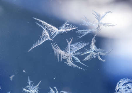 frost crystal on window glass in winter seasonの写真素材