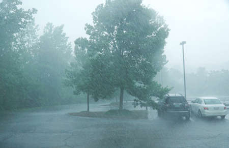 heavy rain and tree in the parking lotsの写真素材