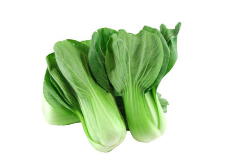 fresh bok choy vegetable isolated on white backgroundの写真素材