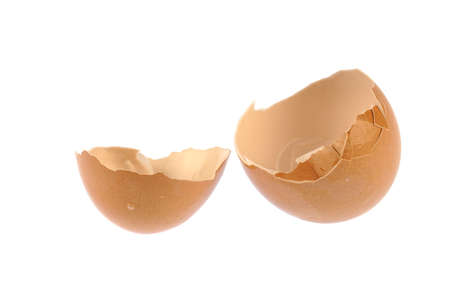 broken eggshell isolated on white background