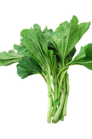 close up on fresh green cluster mallow
