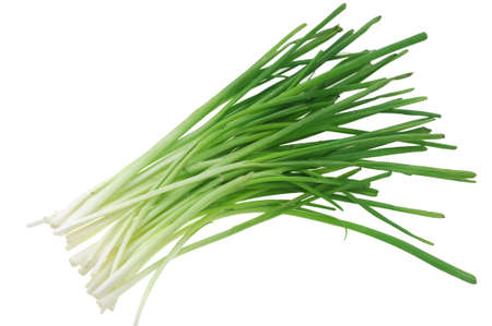 a bunch of green onion isolated on the white backgroundの写真素材