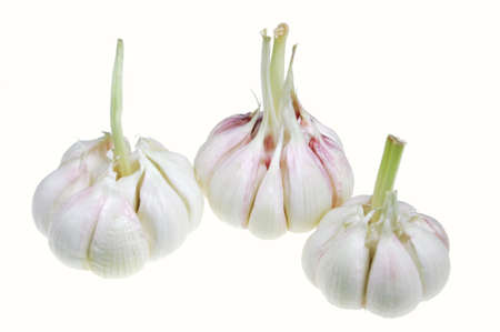 fresh garlic isolated on white backgroundの写真素材