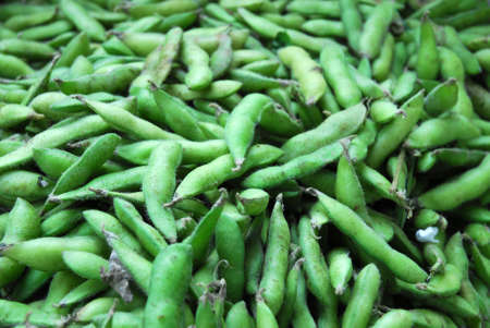 fresh green soybean as food backgroundの写真素材