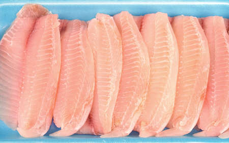 fresh raw tilapia fish fillet as food backgroundの写真素材