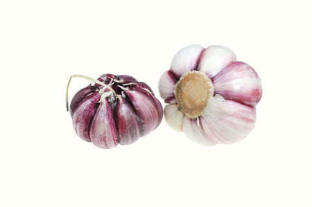 fresh garlic isolated on white backgroundの写真素材