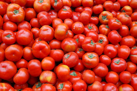 close up on fresh tomato pile in harvest seasonの写真素材
