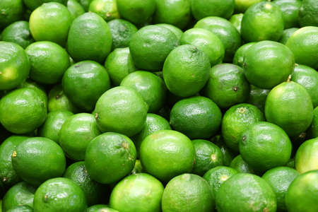 Fresh green lime pile in harvest seasonの写真素材