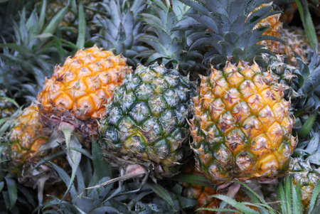 close up on pineapple in pile