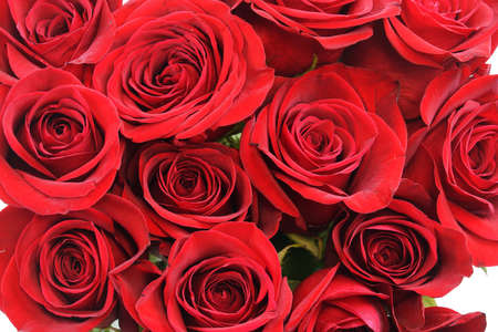 fresh red roses in a bouquet as backgroundの写真素材