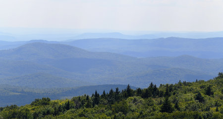 landscape of mountain range in summer mistの写真素材