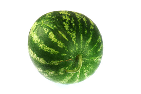 watermelon isolated on white backgroundの写真素材