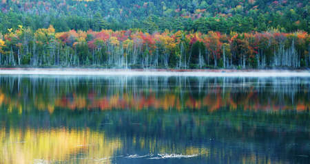 Â landscape of morning lake with autumn forest and fogの写真素材
