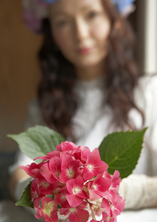 Bride and Hydrangeaの写真素材