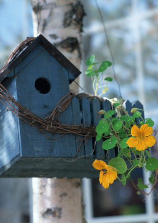 Nest boxの写真素材