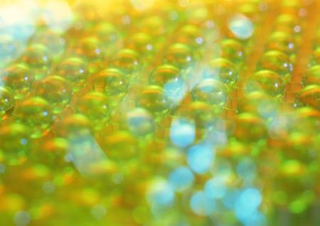 Digital Imageの写真素材