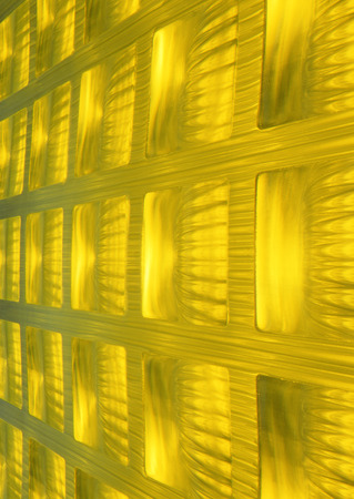 Digital Image