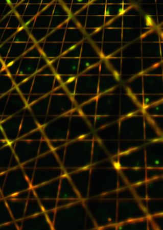 Network Imageの写真素材