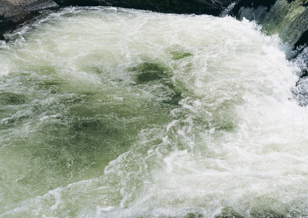 Surface of the Waterの写真素材