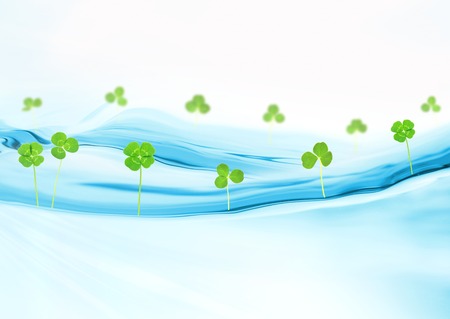 Forest on water