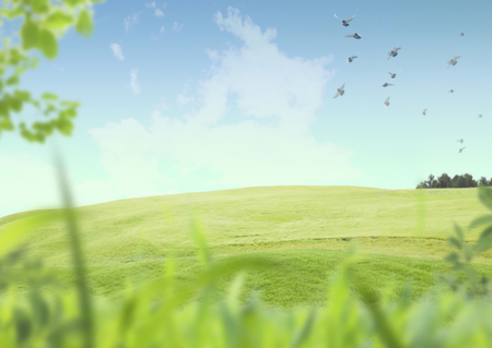 Wild birds flying over grasslandの写真素材