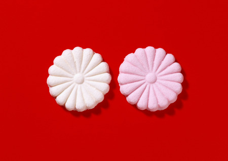 Bridal & Celebratory occasionsの写真素材