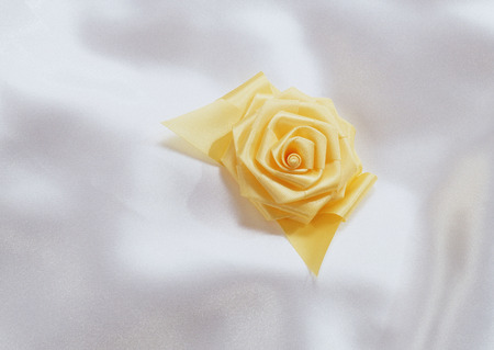 Bridal & Celebratory occasionsの写真素材