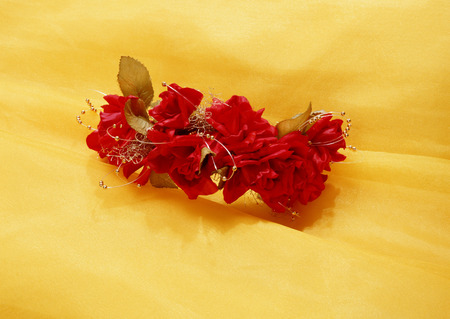 Bridal & Celebratory occasionsの写真素材