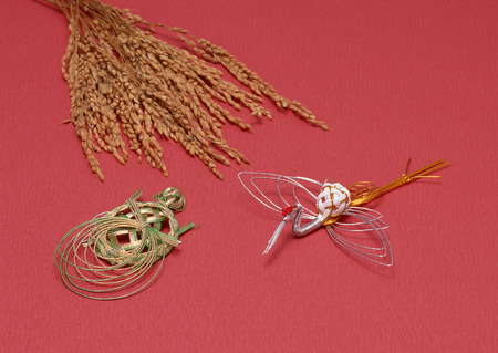 Rice plant and Bridal & Celebratory occasionsの写真素材