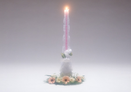 Bridal & Celebratory occasionsの写真素材