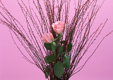 Flower Arrangementの写真素材