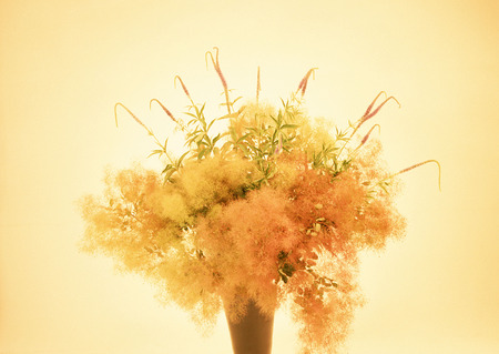 Flower Arrangementの写真素材
