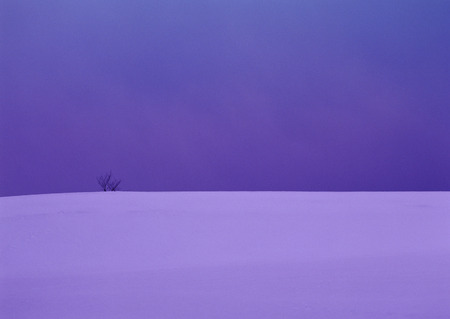 Snowy Fieldの写真素材