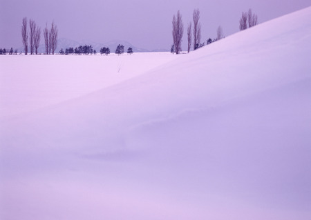 Snowy Fieldの写真素材