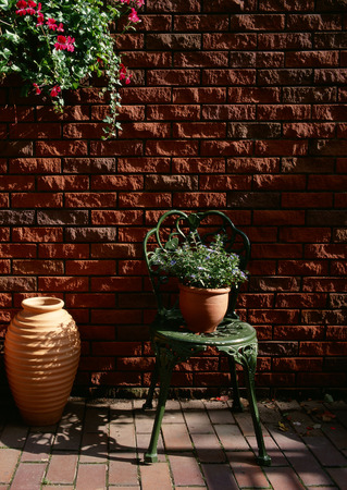 Pot Plantの写真素材