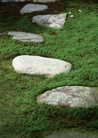 Stepping-stoneの写真素材