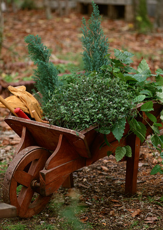 Garden Cartの写真素材