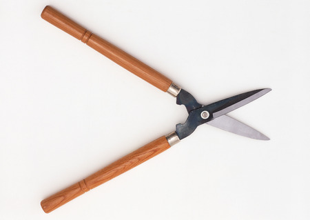 Pruning Scissorsの写真素材