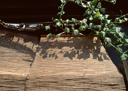 Bamboo Blindの写真素材