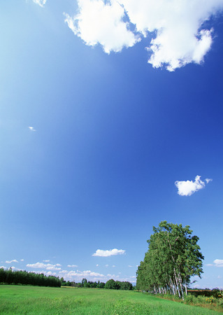 Grassy Plainの写真素材