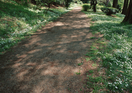 Road