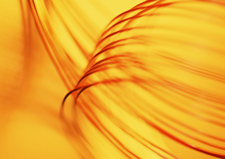 Networkの写真素材