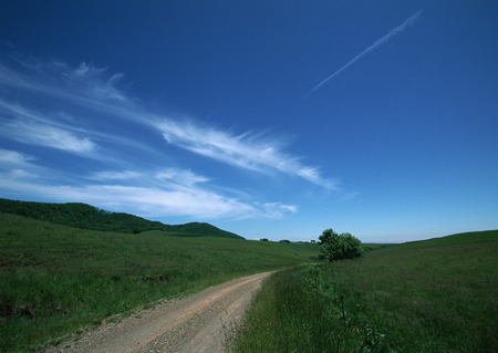 Grassy Plainの写真素材