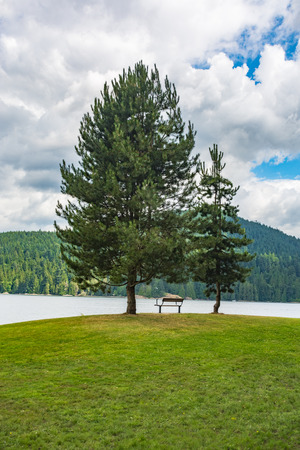 Relaxing place with a bench on a shore of Pacific ocean bayの写真素材